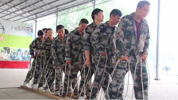 地衛(wèi)士地坪-團(tuán)隊(duì)協(xié)作1