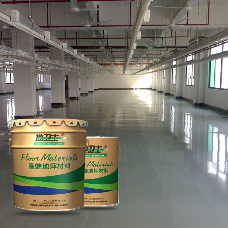 灰色地坪漆,地坪漆施工,環(huán)氧地坪漆色彩,地衛(wèi)士地坪,地坪漆工程,佛山地坪漆施工